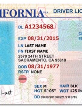 printable drivers license template blank california
